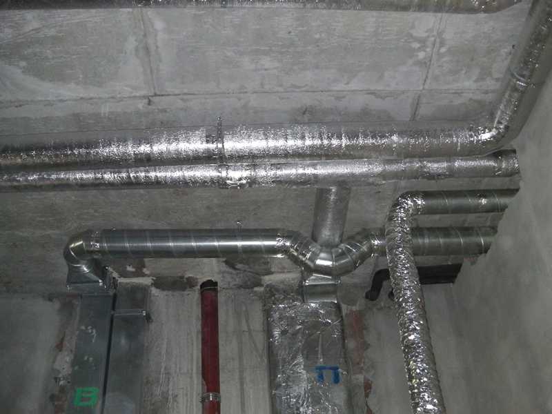 IMGA0312.jpg